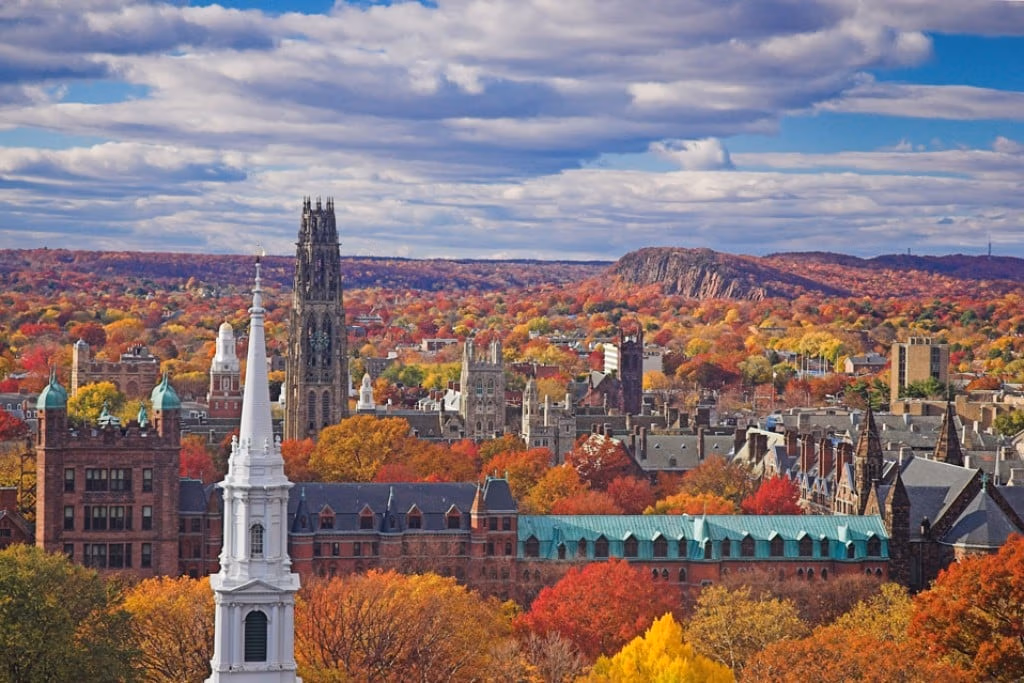 beautiful Downtown New Haven